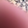 jpis